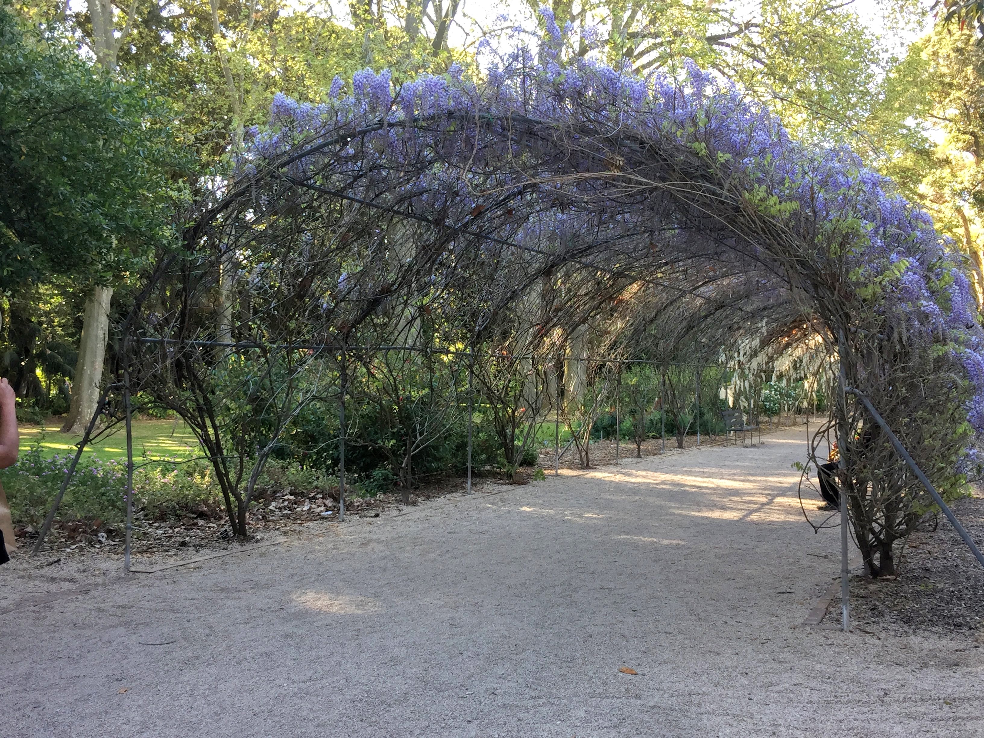 adelaide botanic gardens