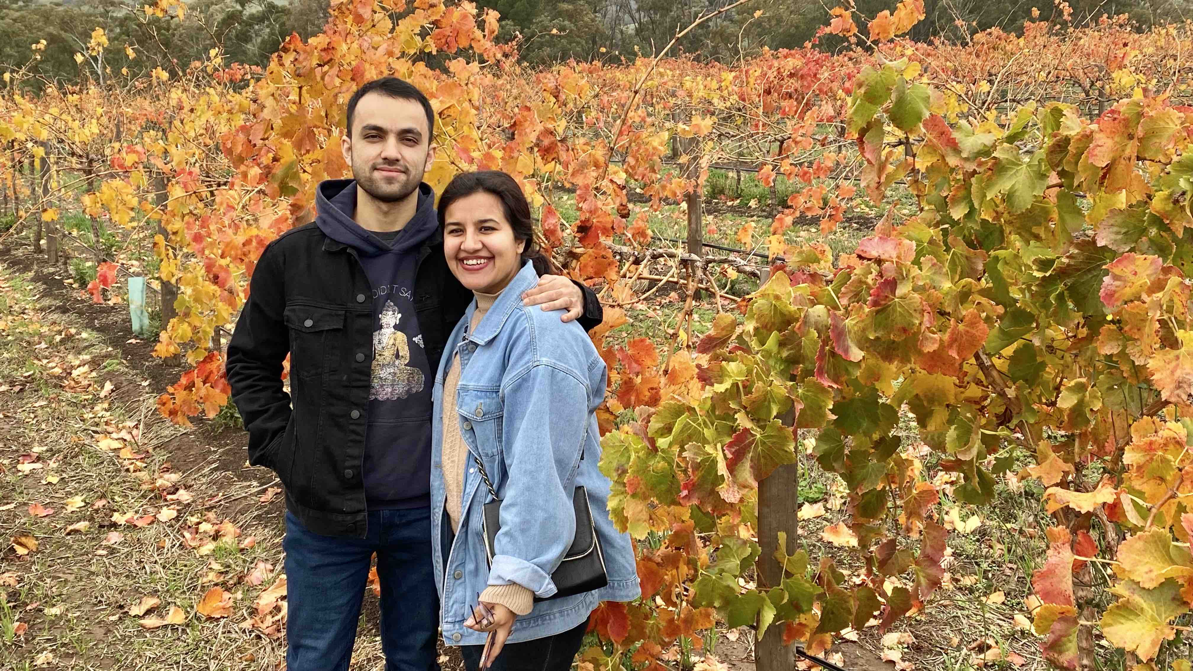 vineyards at barossa valley wine region