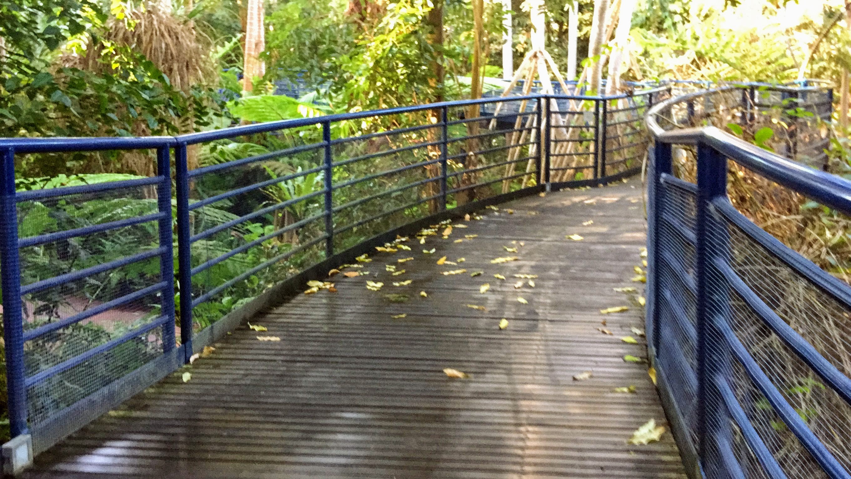 Bicentennial Conservatory in Botanic Garden Adelaide